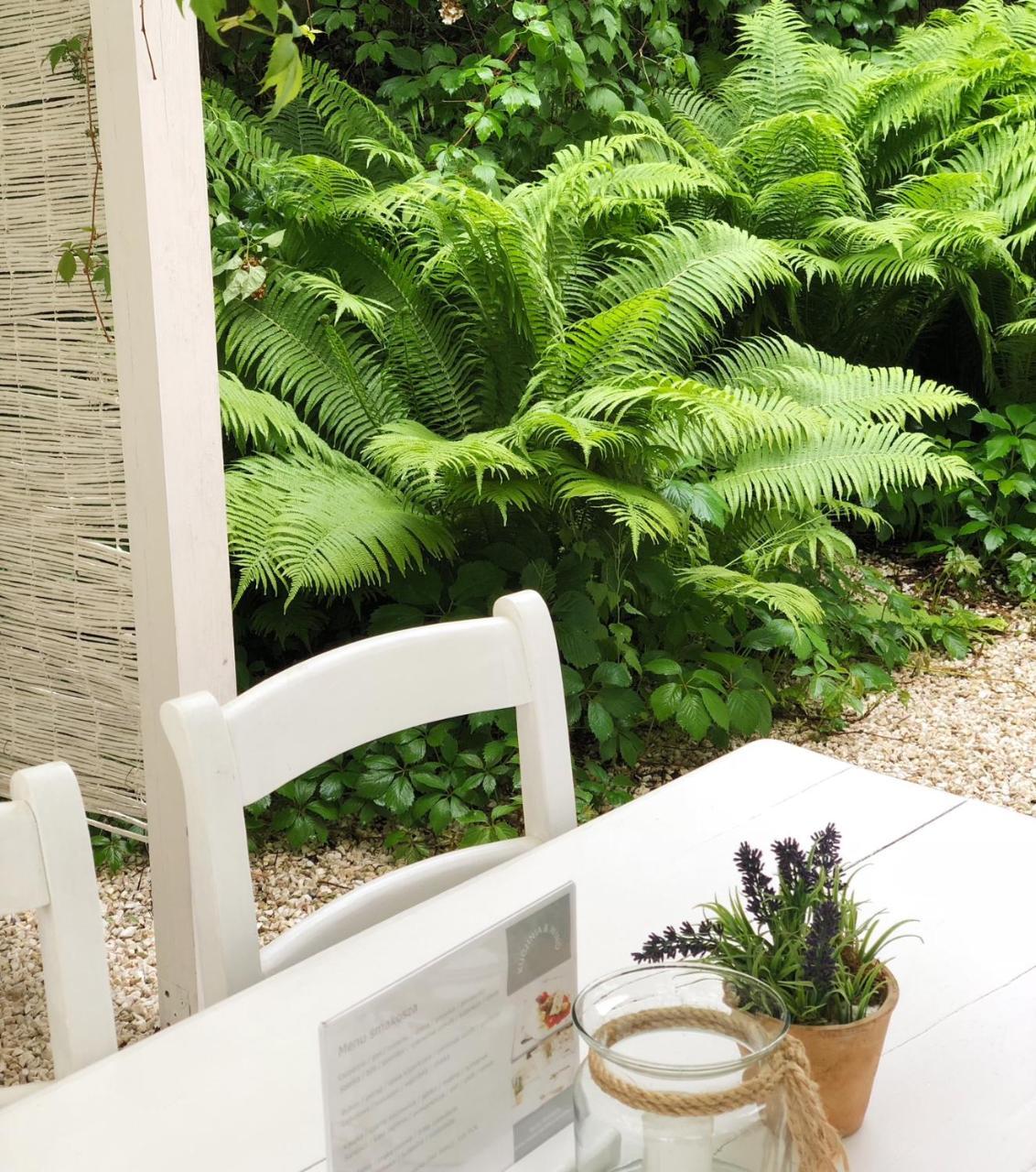 Vincent Apartment คาชิเมียร์ซ ดอลนี ภายนอก รูปภาพ